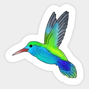 HUMMINGBIRD | MORICK | Sticker